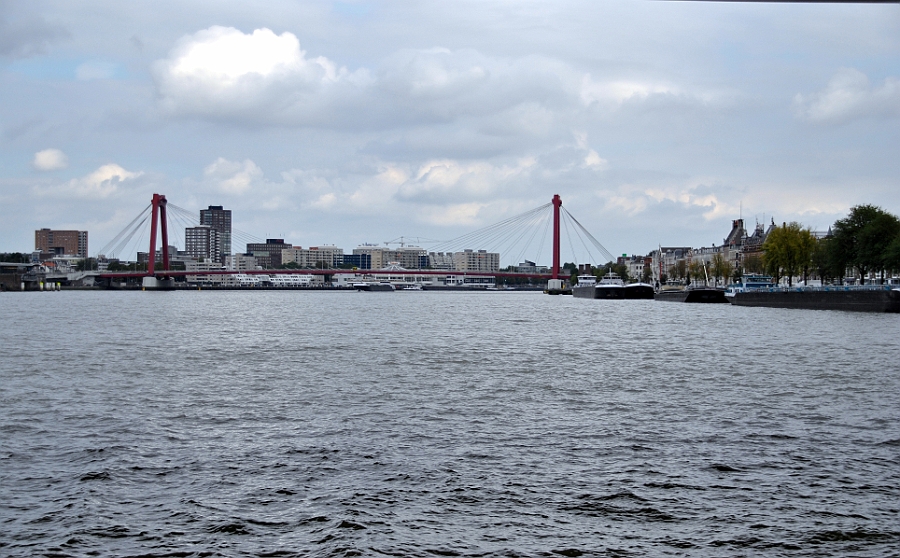 DSC 4904a